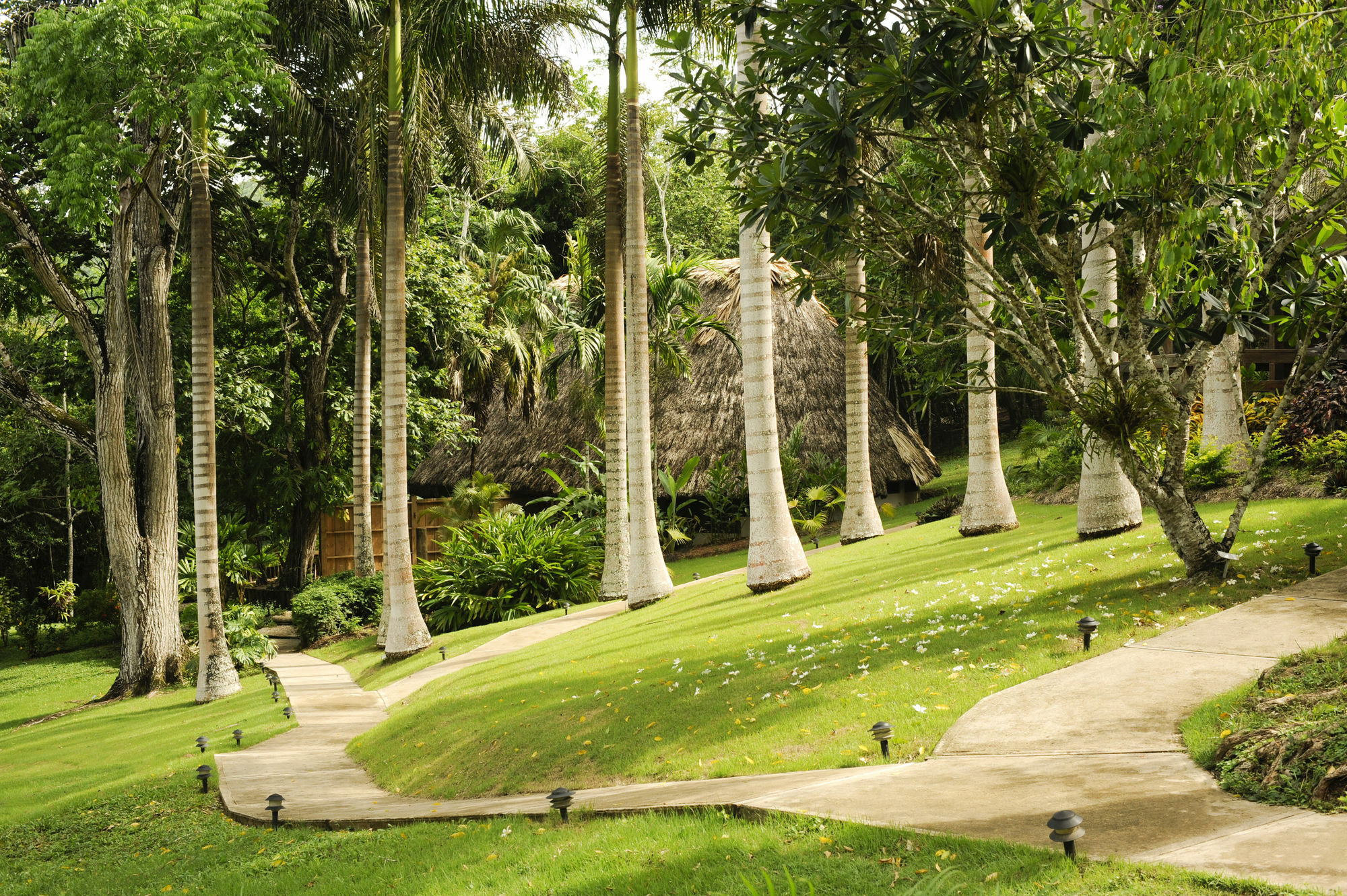 The Lodge At Chaacreek San Ignacio Esterno foto